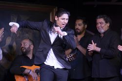 Flamenco performance on stage