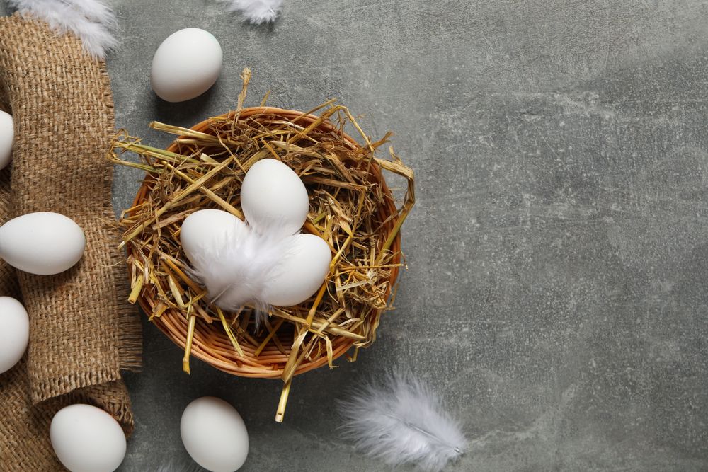 Concept of natural farm product - eggs, top view