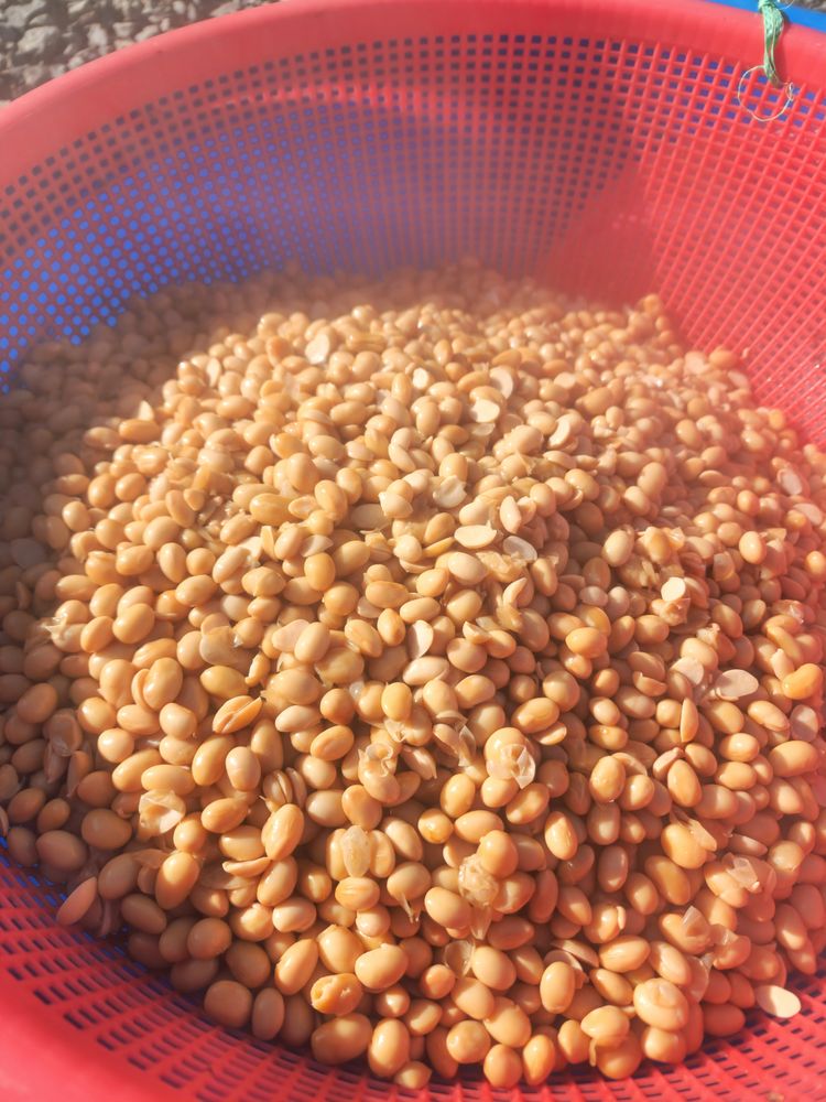 Boiling Yellow Soybeans in a Traditional Pot