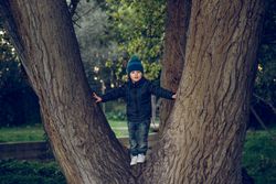 Cute boy standing on tree trunk