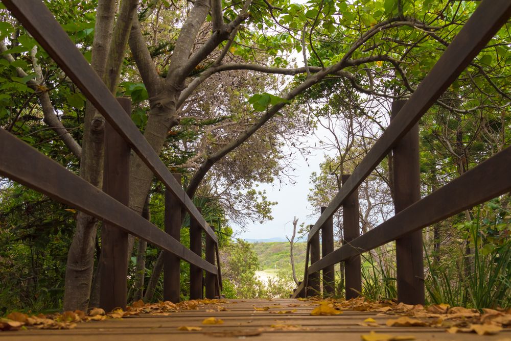 Brown wooden bridge over river