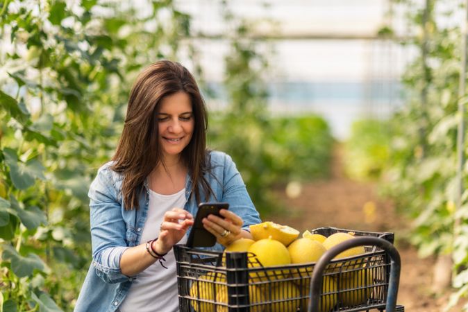 Farmer using smartphone while working in greenhouse