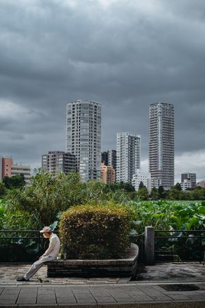 Side view of a man sitting on bench on sidewalk near green trees and high rise buildings