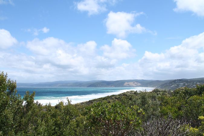 View of waves coming into the beach from atop a hill