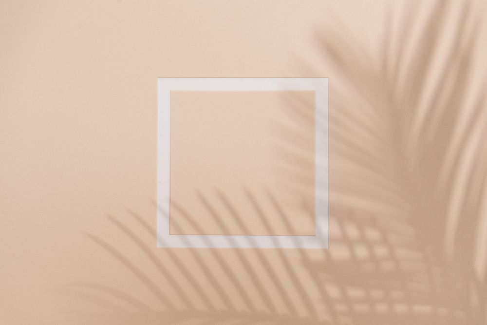 Flat lay of shadow of palm leaf beige background with paper outline