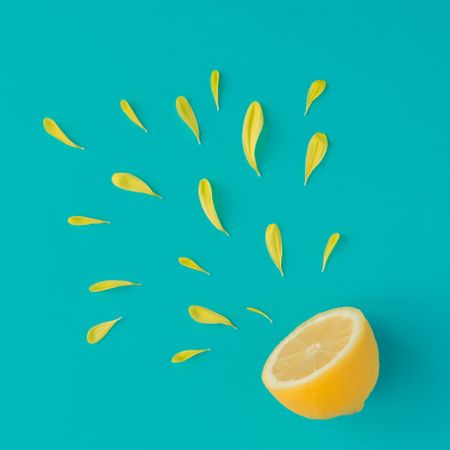 Lemon and yellow flower petals on bright blue background