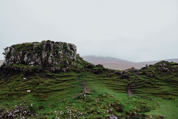 Sheep in green mountains