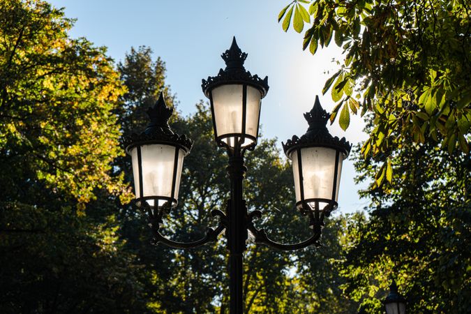 Autumnal park with street lamp