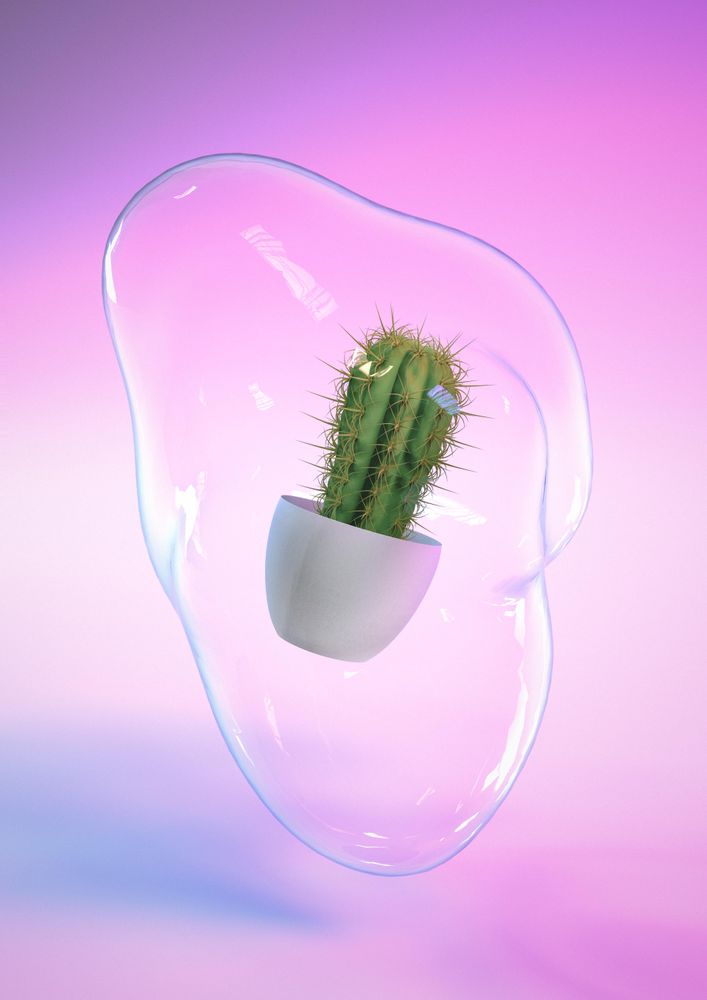 Cactus plant with soap bubble and blue and pink neon background