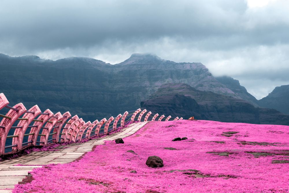Beautiful infrared landscape of the green fields and hills at Malshej Ghat in Maharashtra, India
