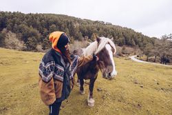 Woman petting nose of obedient horse in field