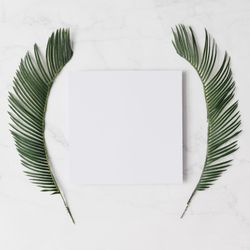 Leaves surrounding light paper