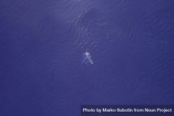 Far away aerial image of woman swimming in purple water 5apxW0