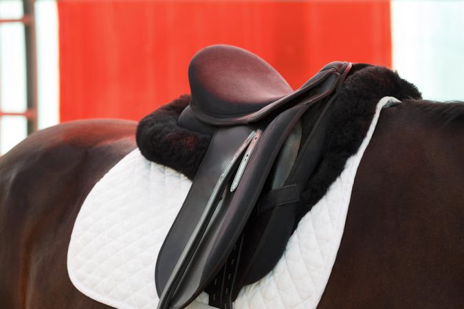 Close up of saddle on brown horse