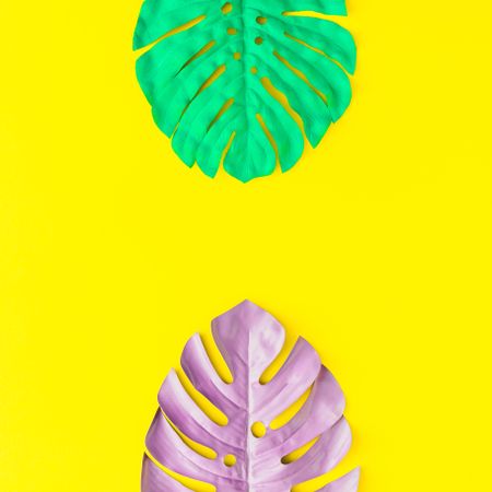 Painted tropical and palm leaves in vibrant bold colors on yellow background