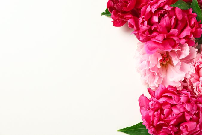 Flat lay composition with beautiful peonies on light background, space for text and top view