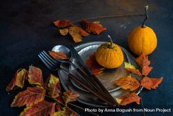 Table settings of shiny ceramic plates with autumn leaves and cutlery 5apPd0