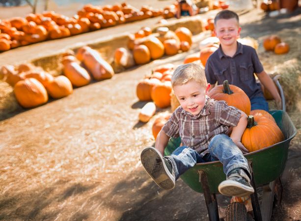 Two Little Boys Playing in Wheelbarrow at the Pumpkin Patch on a Sunny Fall Day..
