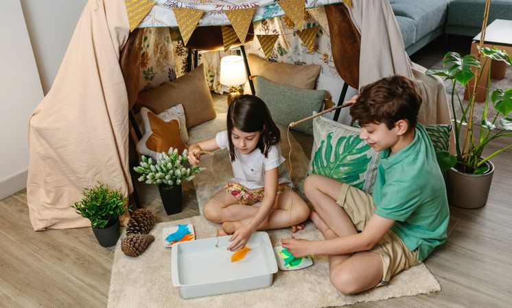 Brothers camping at home playing fishing game