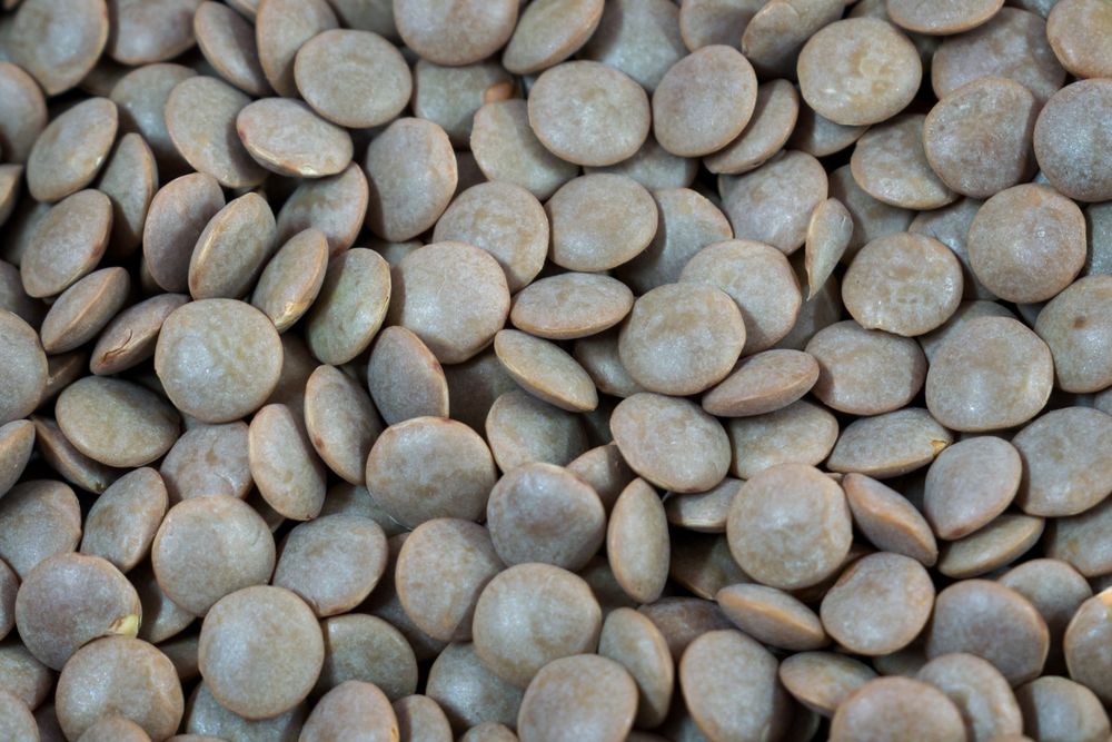 A background full of Indian Lentils also called Masoor Dal