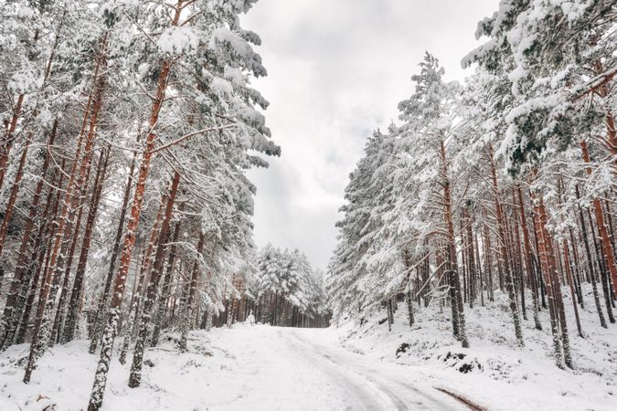 Winter snowy empty country road