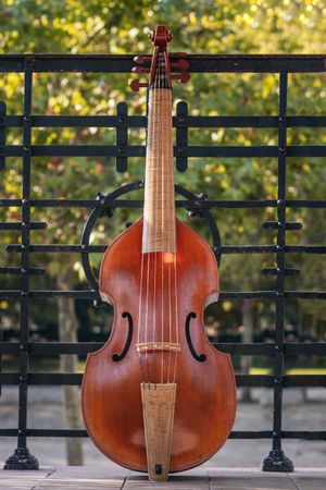 String instrument: cello.