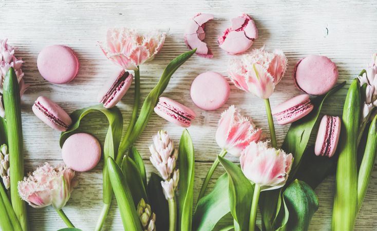 Flat-lay of sweet pink macaron cookies and fresh spring tulip