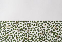 Green leaves on half of light background