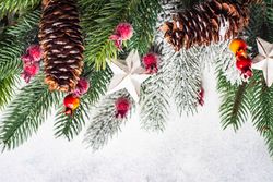 Christmas branch, pine cones, ornaments and holly on grey background