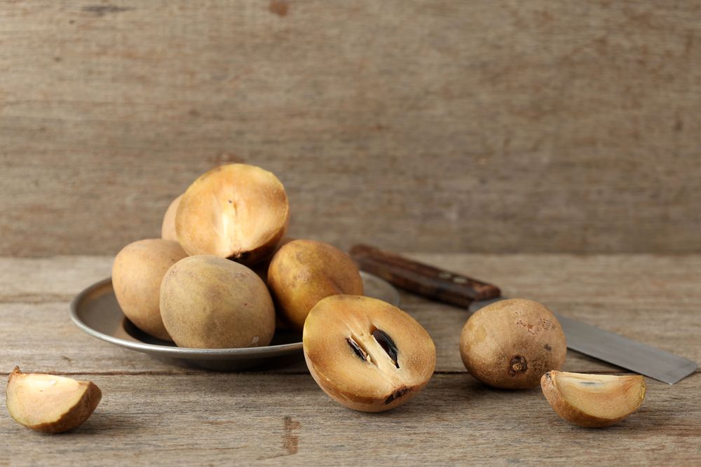 Ellipsoid Berry Fruit of Manilkara zapota, Sapodilla