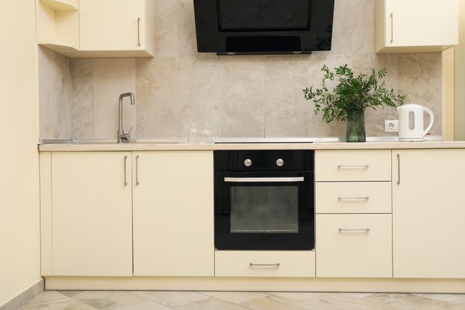 Interior of modern kitchen room with plant