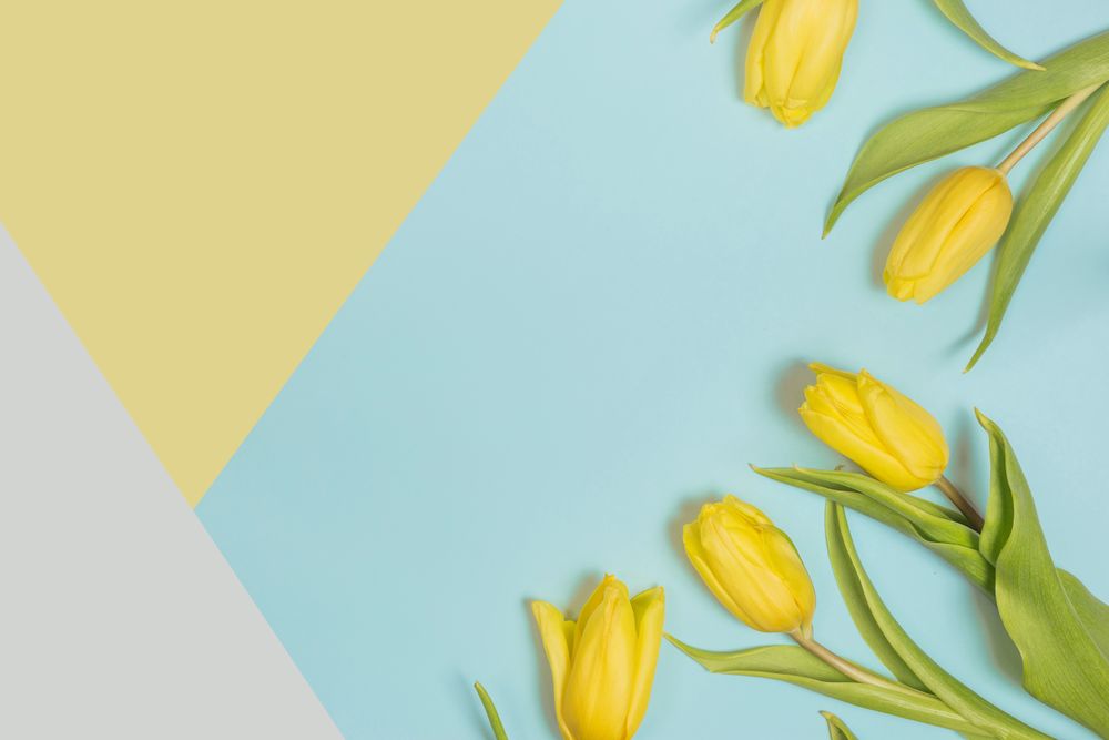 Fresh yellow flowers with green leaves