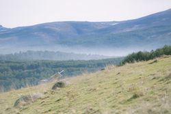 Unicorn walking in mountains