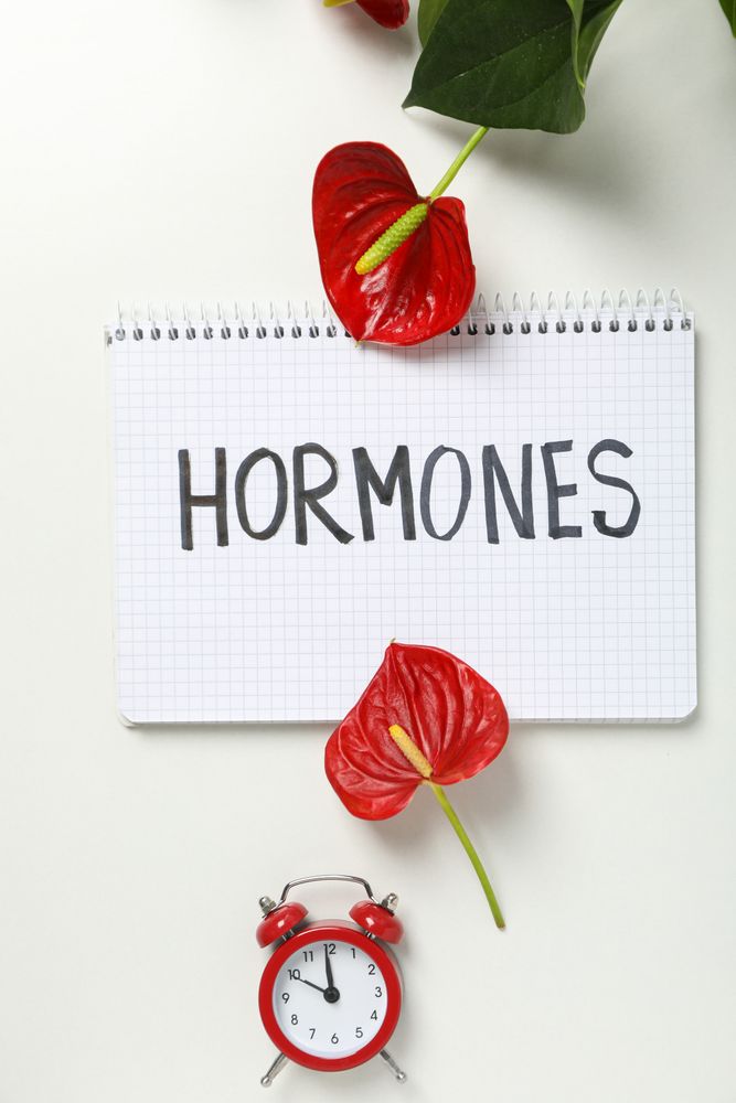 The concept of treatment with hormonal drugs.