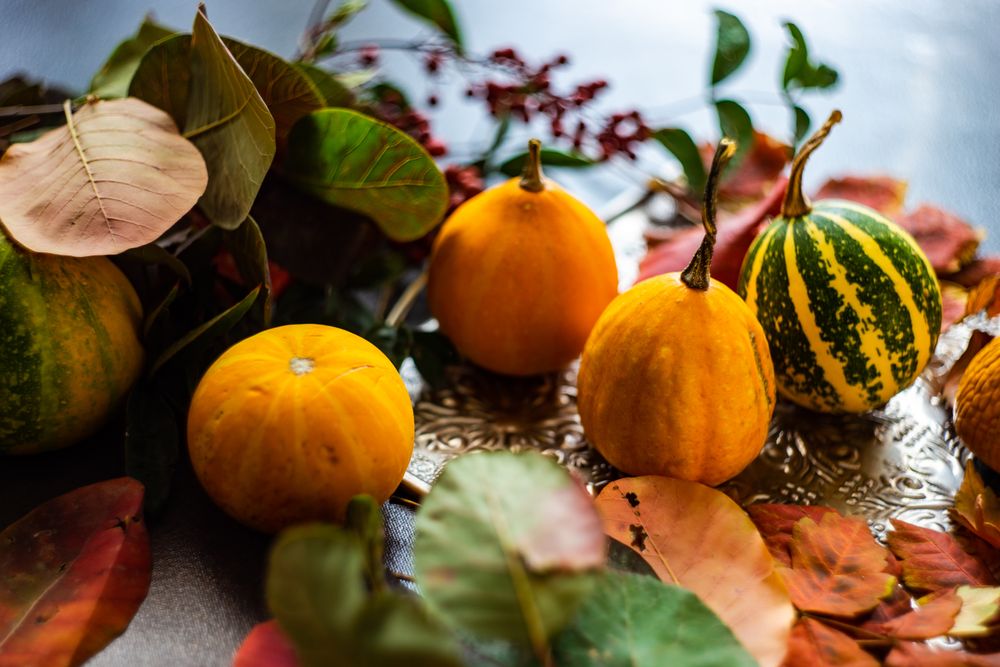 Gourds on trey of autumn leaves