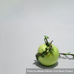 Green apple trapped with green leaves branch vine 5l3MM0