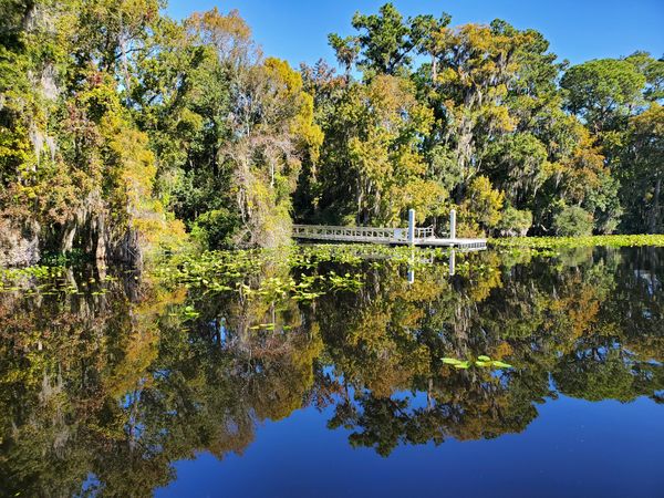 Reflecting on the water