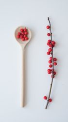 Winter berry holly in spoon and on twig