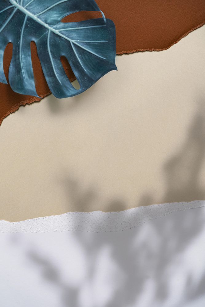 Tropical palm leaves and shadow on brown, beige and light torn paper background