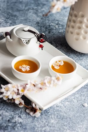 Spring floral concept with delicate apricot blossom surrounding tea set on trey