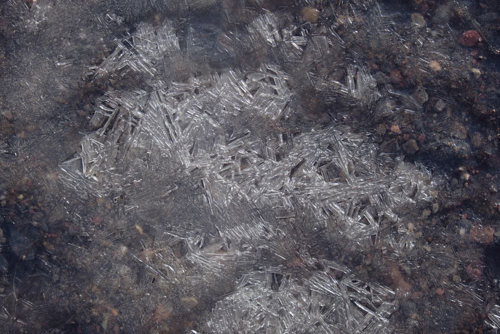 Fragile ice on puddle of water