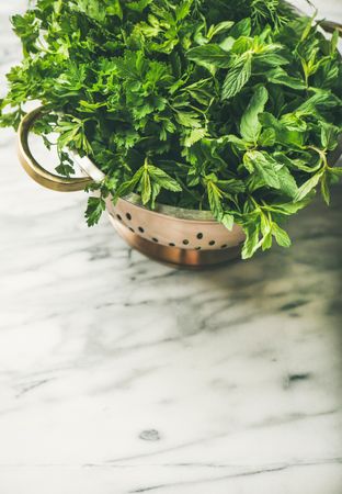 Colander full of fresh green herbs, vertical composition, copy space