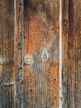 Old wood boards of cow barn