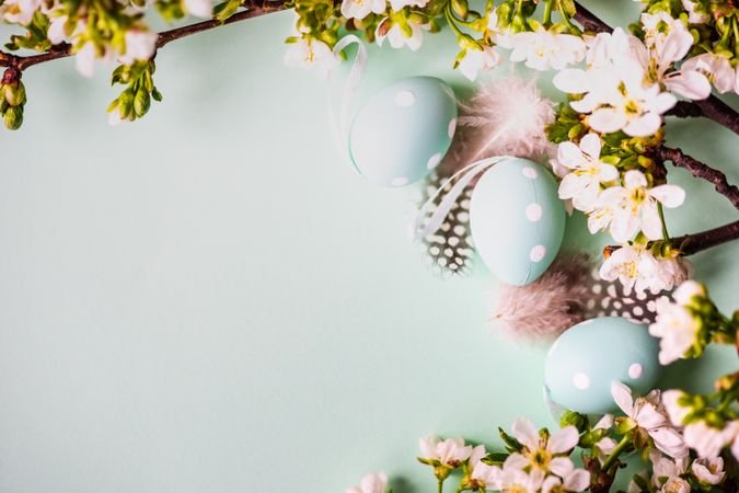 Easter card concept with branch of spring flowers with decorative feathers and eggs