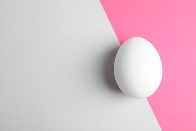 Chicken egg on two tone background, space for text