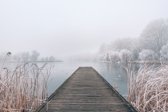 Lake surrounded by frosted trees and tall grass with frost