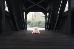 Stuffed bear toy and gift on a bridge