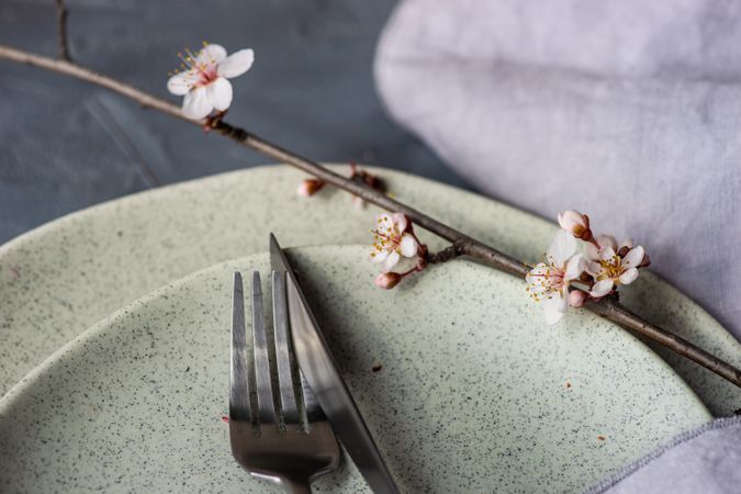 Close up of silverware on spring table setting blooming tree branch