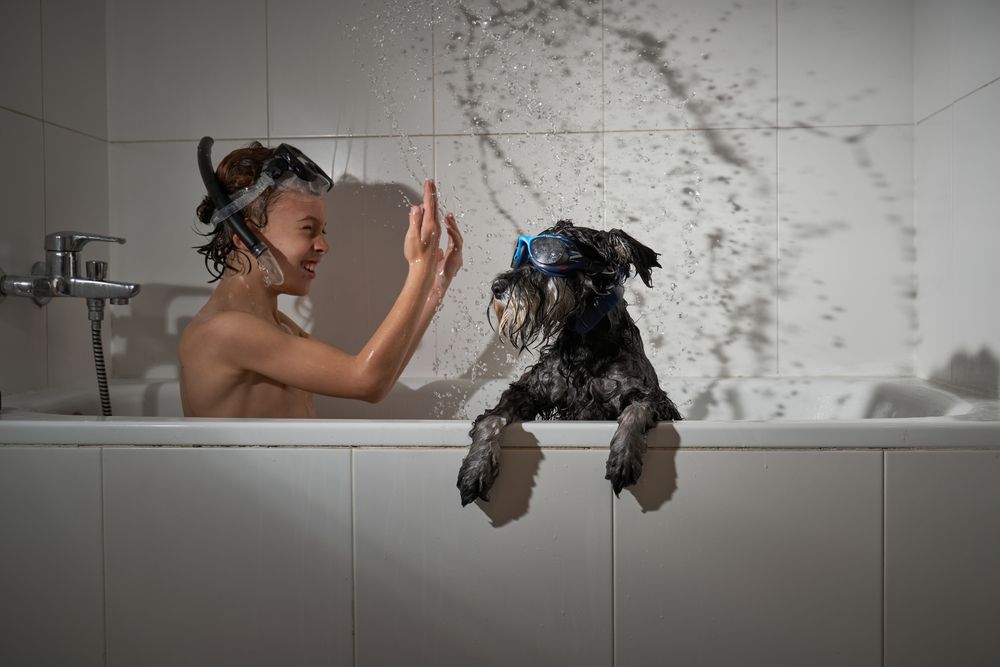 Smiling boy splashing water in tub with dog