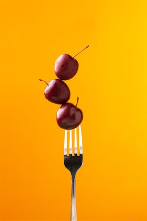 Composition of ripe red cherries on fork
